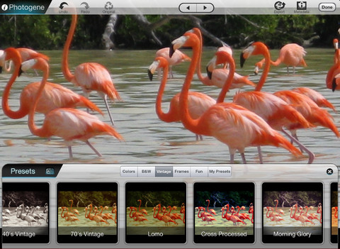 Photogene per iPad