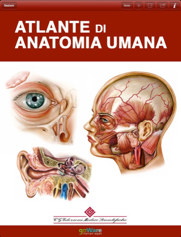 goWare Atlante di Anatomia